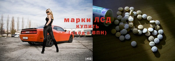 индика Медногорск