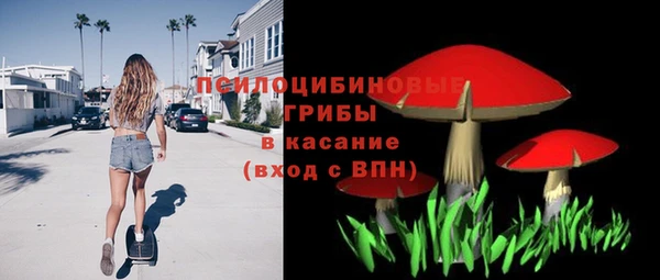 индика Медногорск
