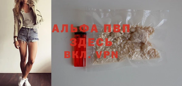 индика Медногорск