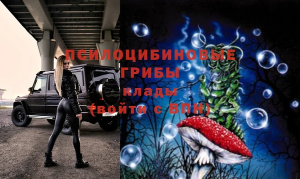 ГАЛЛЮЦИНОГЕННЫЕ ГРИБЫ Медвежьегорск
