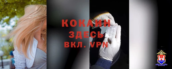индика Медногорск