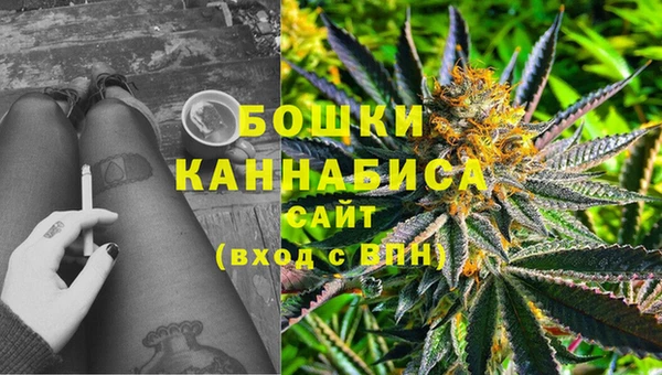 индика Медногорск