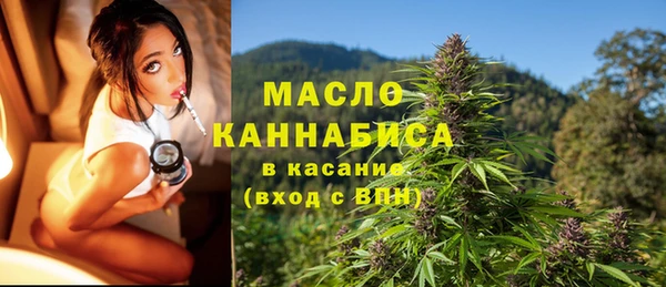 индика Медногорск