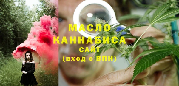 индика Медногорск