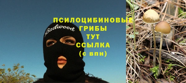 первитин Мегион