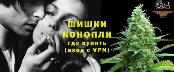 ГАЛЛЮЦИНОГЕННЫЕ ГРИБЫ Медвежьегорск
