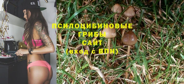 первитин Мегион