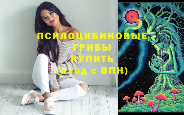 индика Медногорск