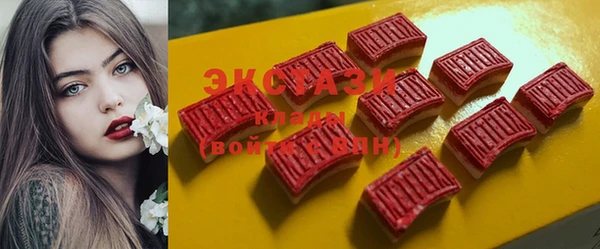 индика Медногорск