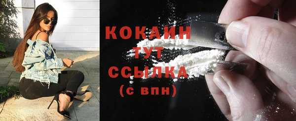 индика Медногорск
