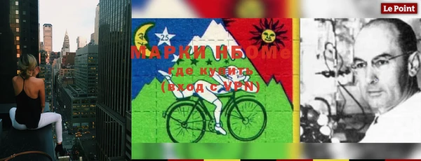 индика Медногорск