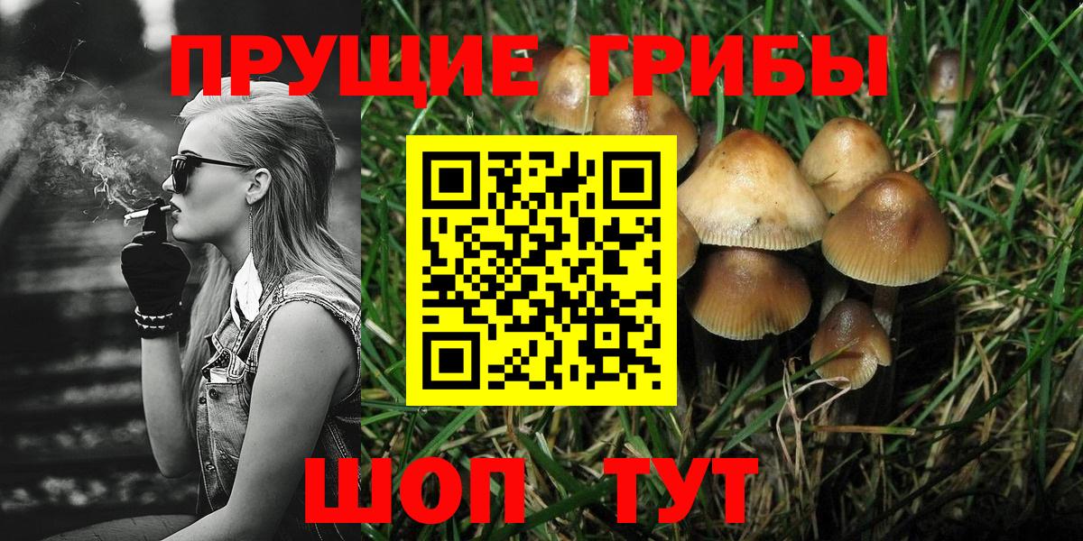 Галлюциногенные грибы GOLDEN TEACHER  Вход с VPN  Дятьково  где можно купить наркотик  Галлюциногенные грибы MAGIC MUSHROOMS 