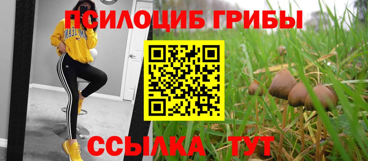 Псилоцибиновые грибы GOLDEN TEACHER  Дятьково 