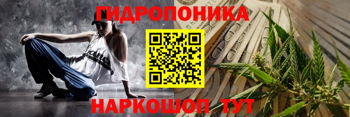Канабис гибрид  Бошки марихуана White Widow  Канабис планчик  Вход с VPN  Дятьково 